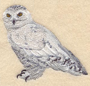 Snowy Owl
