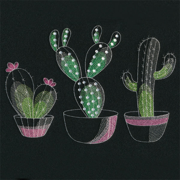 Crazy for Cacti Trio