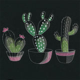Crazy for Cacti Trio