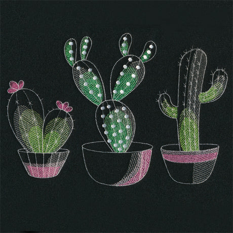 Crazy for Cacti Trio