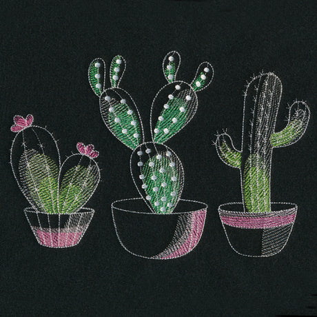 Crazy for Cacti Trio
