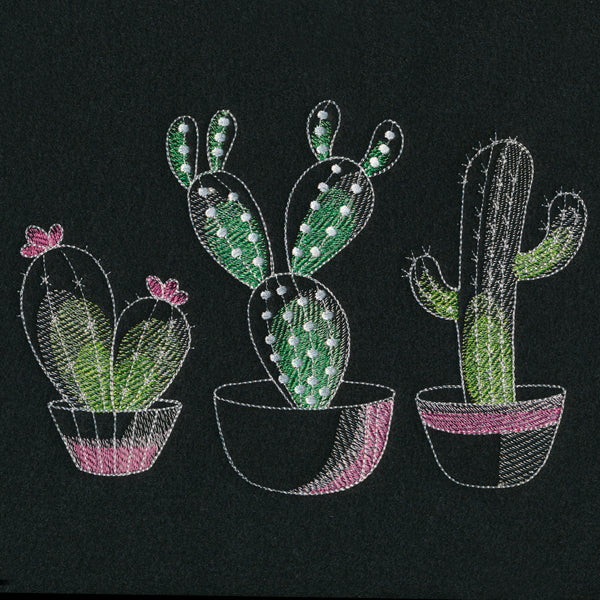 Crazy for Cacti Trio