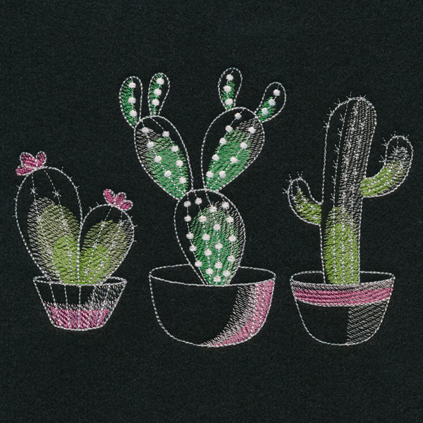 Crazy for Cacti Trio