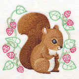 Baby Woodland Animals - Squirrel