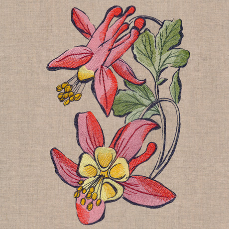 Flowers of the Forest - Columbine