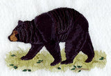 Black Bear