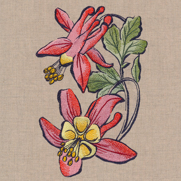 Flowers of the Forest - Columbine