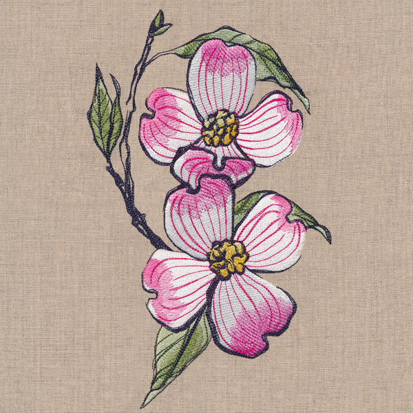 Flowers of the Forest - Dogwood