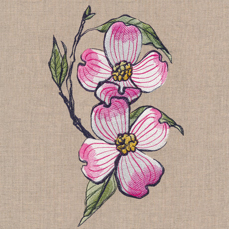 Flowers of the Forest - Dogwood