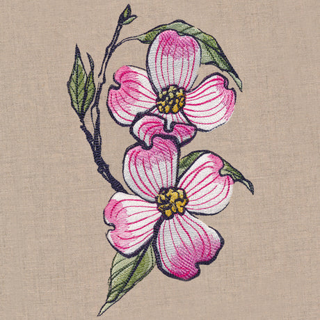 Flowers of the Forest - Dogwood