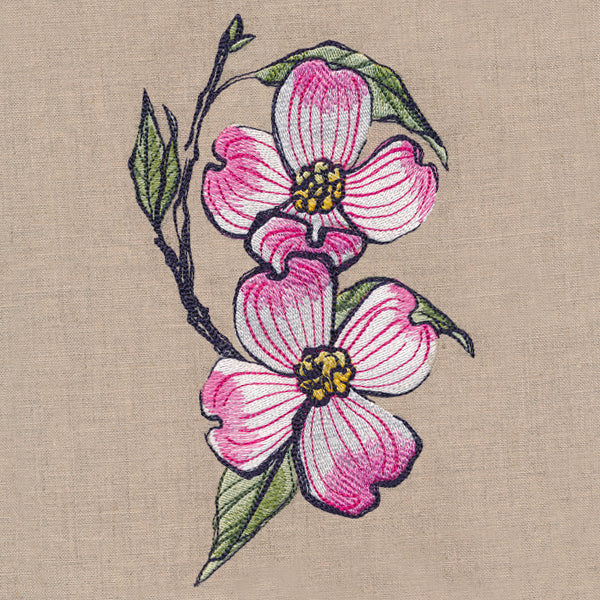 Flowers of the Forest - Dogwood