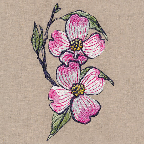 Flowers of the Forest - Dogwood