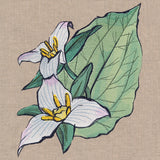 Flowers of the Forest - Western Trillium