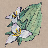 Flowers of the Forest - Western Trillium