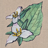 Flowers of the Forest - Western Trillium