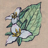 Flowers of the Forest - Western Trillium