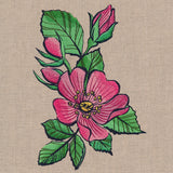 Flowers of the Forest - Wild Rose