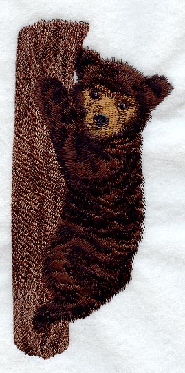 Black Bear Cub