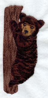 Black Bear Cub