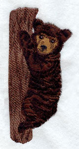Black Bear Cub