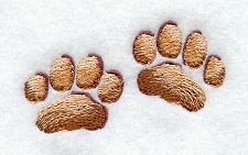 Cat Tracks