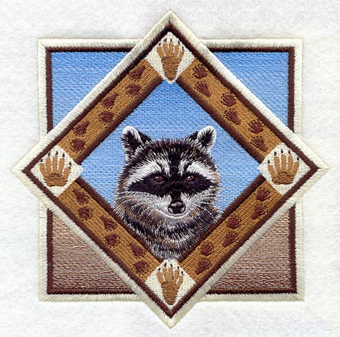 Raccoon Track Portrait