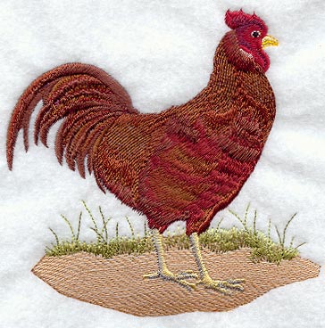 Fashion Rooster 1 - Mirror