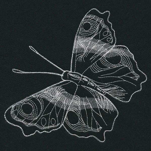 Autumn Glow - Butterfly