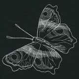 Autumn Glow - Butterfly