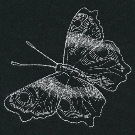 Autumn Glow - Butterfly