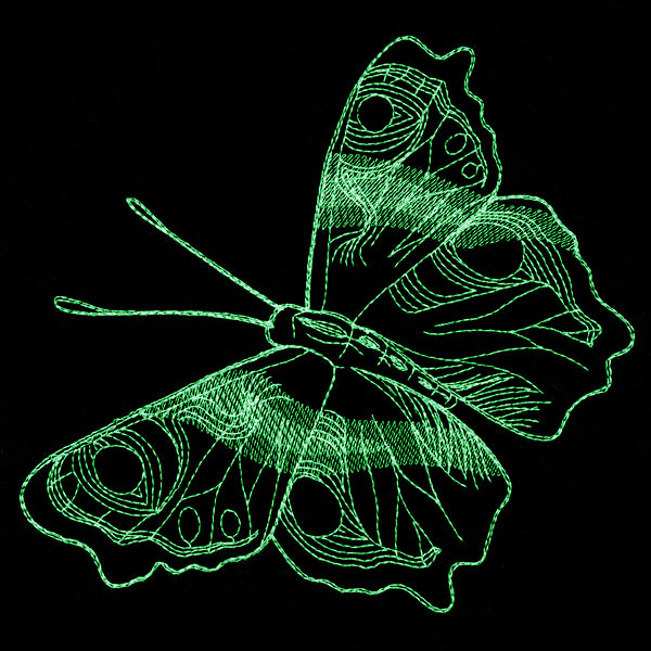 Autumn Glow - Butterfly