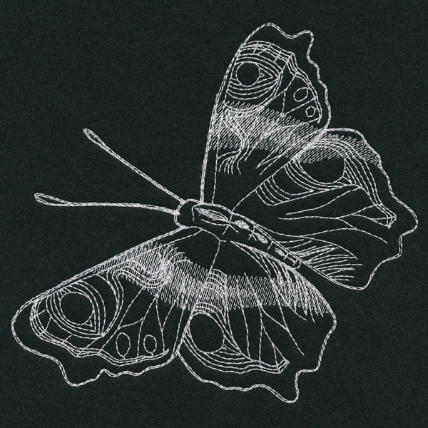 Autumn Glow - Butterfly