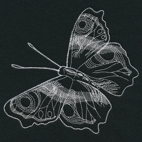 Autumn Glow - Butterfly