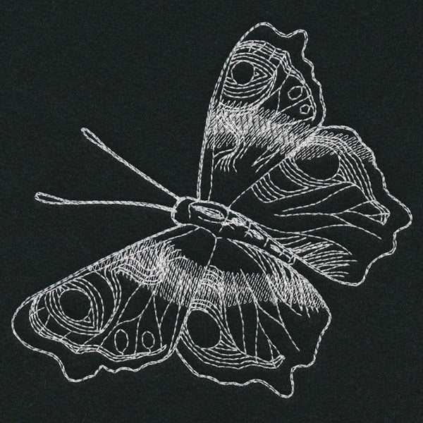 Autumn Glow - Butterfly