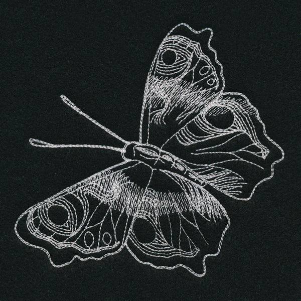 Autumn Glow - Butterfly