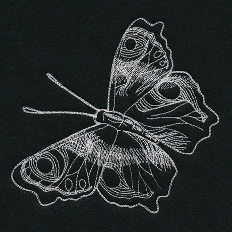 Autumn Glow - Butterfly