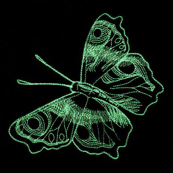 Autumn Glow - Butterfly