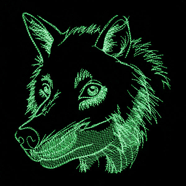 Autumn Glow - Wolf