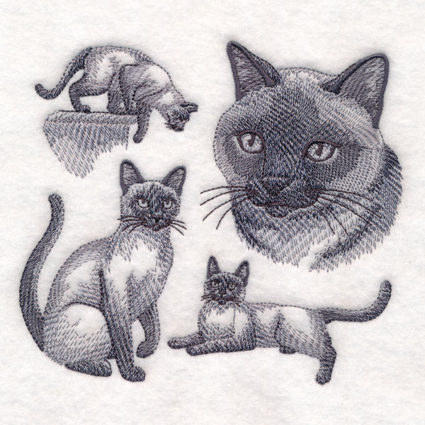 Siamese Cat Sketch