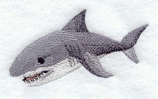 Great White Shark