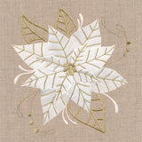 Golden Glamour Poinsettia