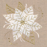 Golden Glamour Poinsettia