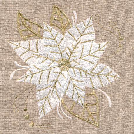 Golden Glamour Poinsettia