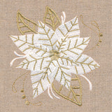 Golden Glamour Poinsettia