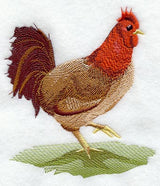 Fashion Rooster 2 - Mirror