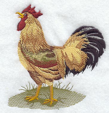 Fashion Rooster 3