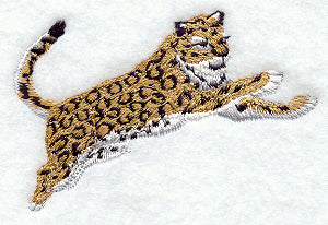 Leaping Leopard