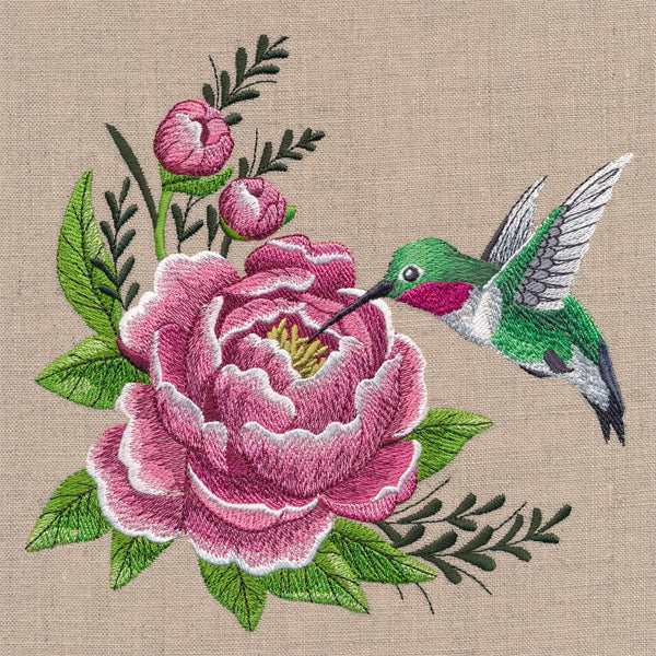 Hummingbird and Peony