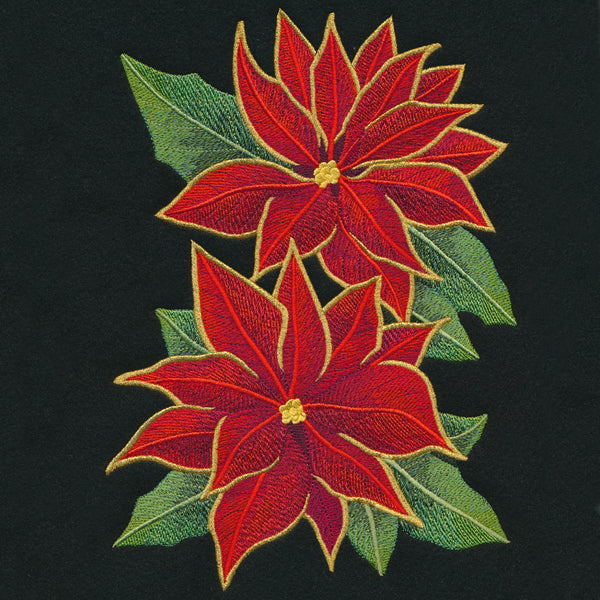 Gilded Poinsettia