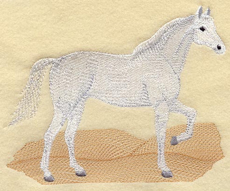 Arabian Horse II